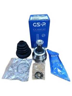����� � ����� GSP �� �������